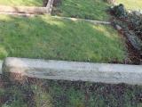 image of grave number 558119